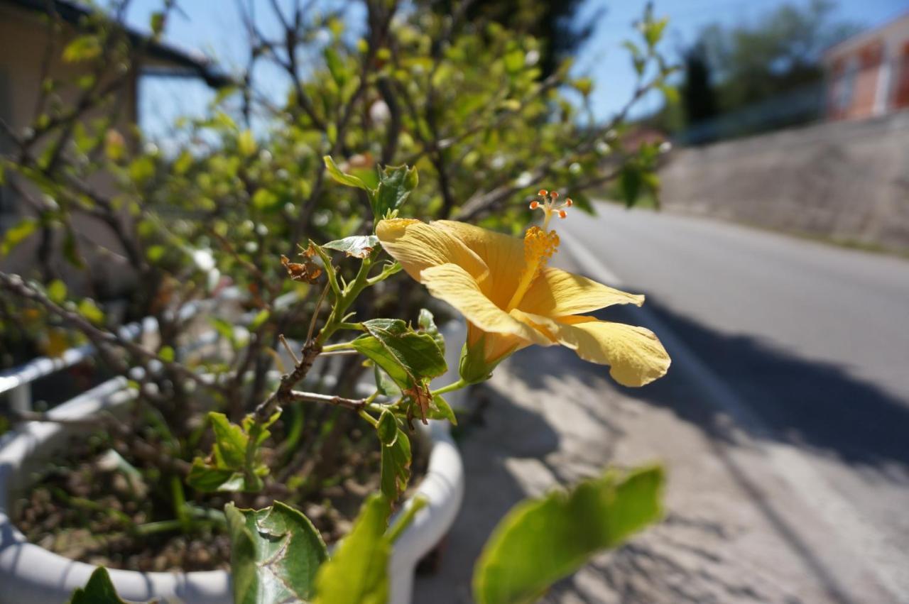 Kefalonia Sea View Cottage Ano Valtai Εξωτερικό φωτογραφία
