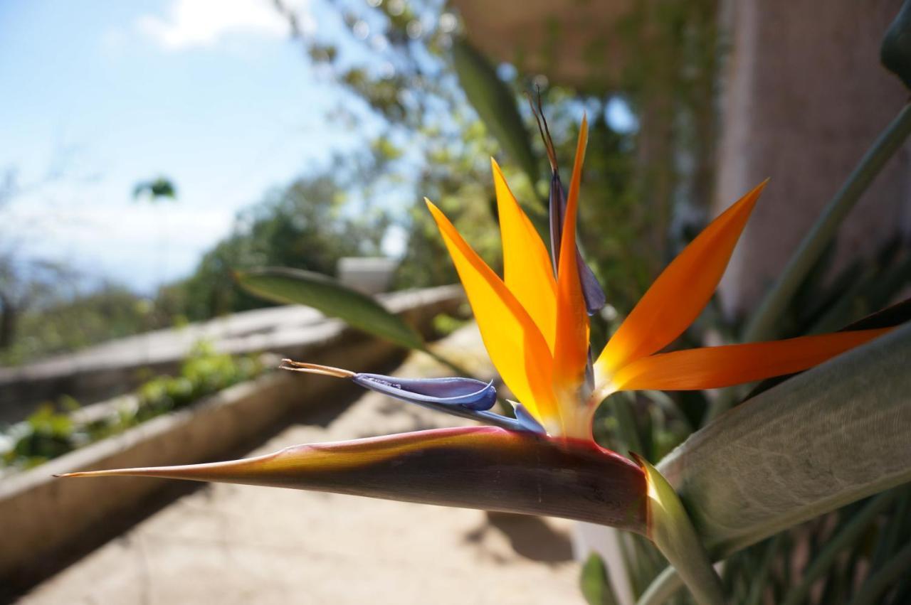 Kefalonia Sea View Cottage Ano Valtai Εξωτερικό φωτογραφία